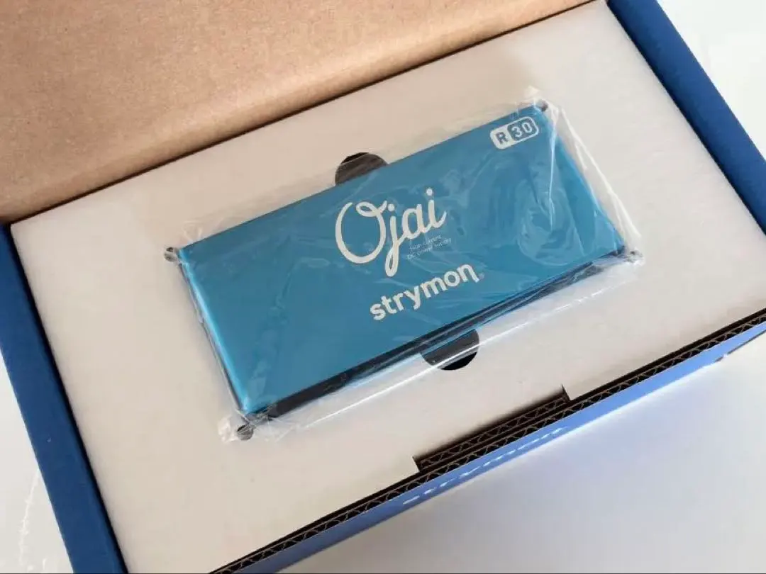 2026年最新】STRYMON Ojaiの人気アイテム - メルカリ