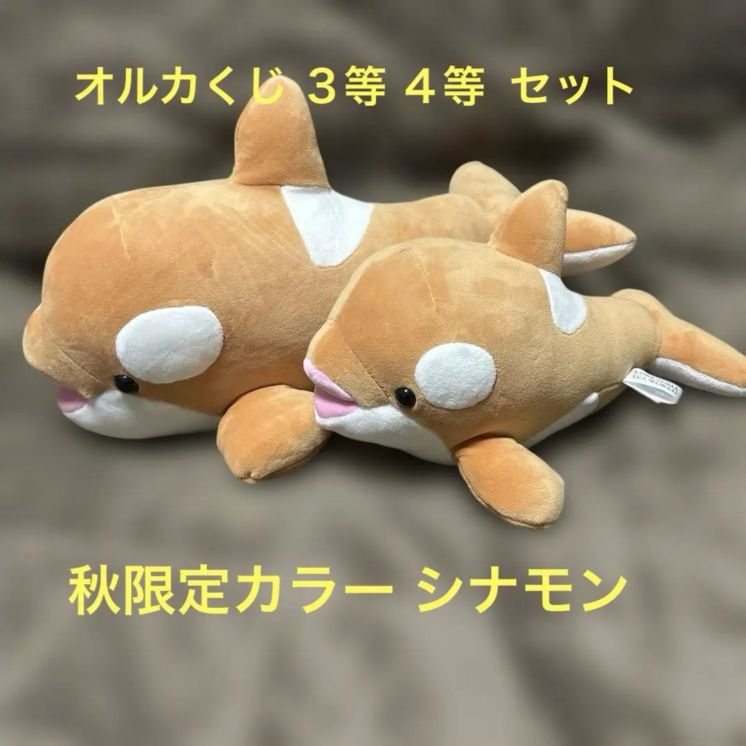 2026年最新】須磨シーワールド シャチ 2等の人気アイテム - メルカリ