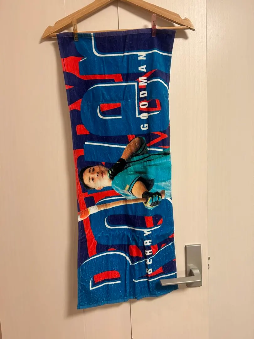 2026年最新】国内アーティスト：ベリーグッドマン タオルの人気