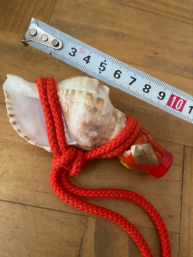 2026年最新】法螺貝 紐の人気アイテム - メルカリ