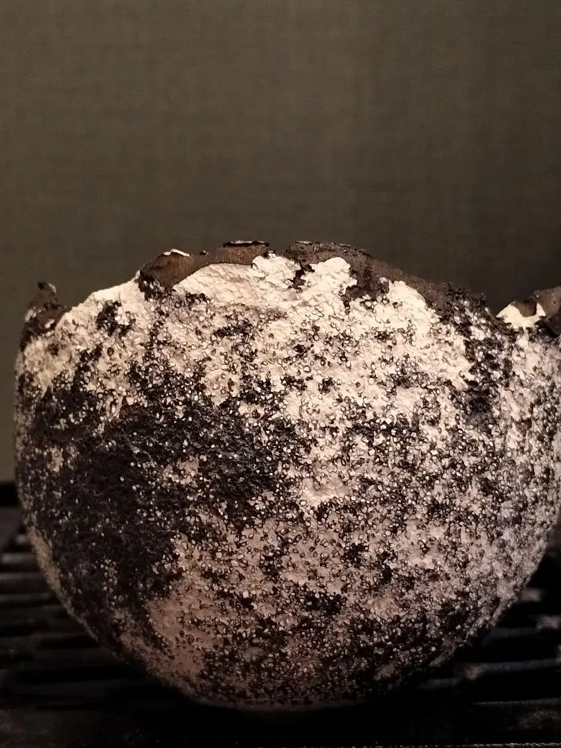 2026年最新】芽の巣山の人気アイテム - メルカリ