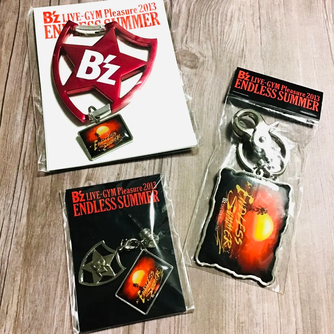 2026年最新】B z 2013 エンドレスサマーの人気アイテム - メルカリ