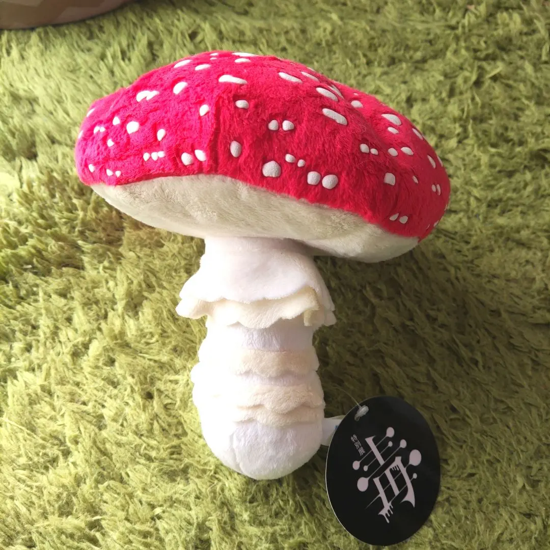 2026年最新】毒展 ベニテングタケの人気アイテム - メルカリ