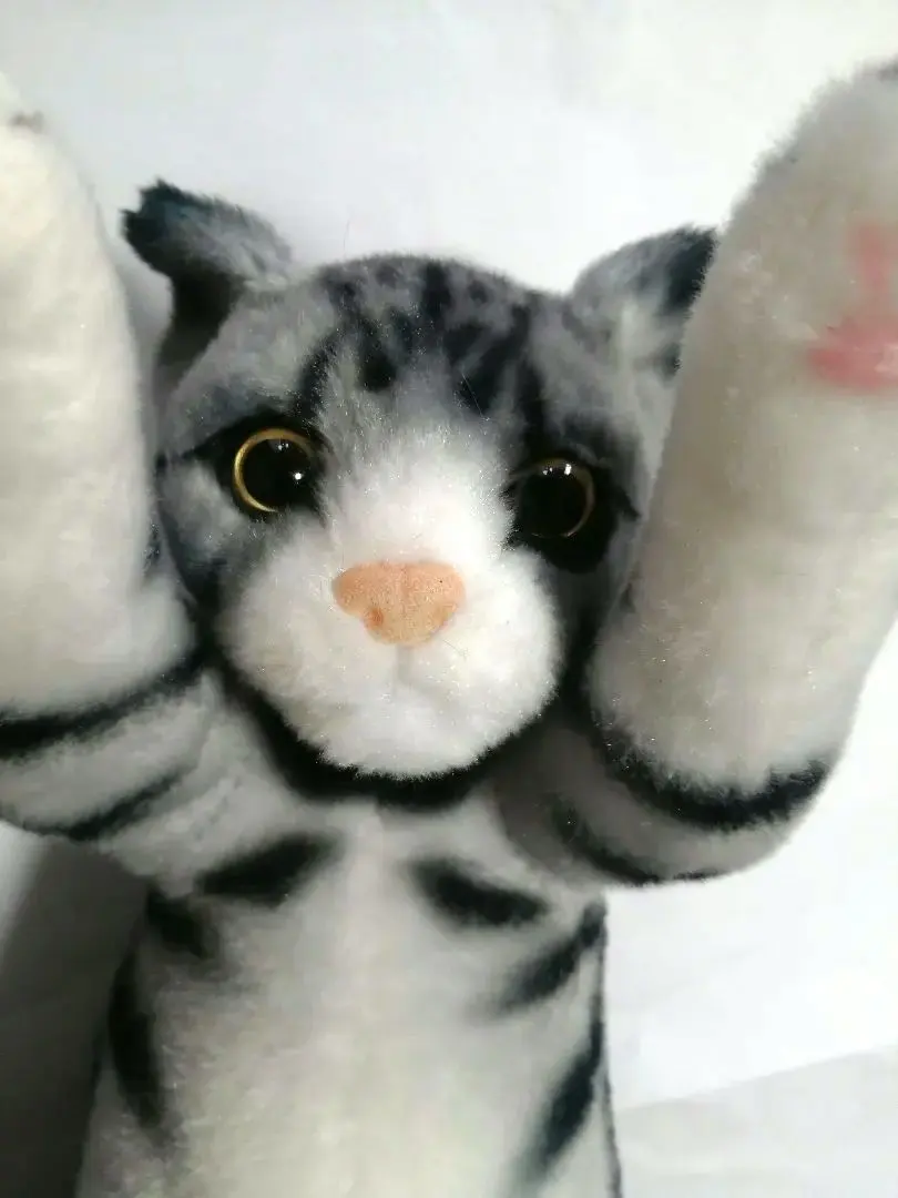 2026年最新】たっちいzoo にゃんこの人気アイテム - メルカリ