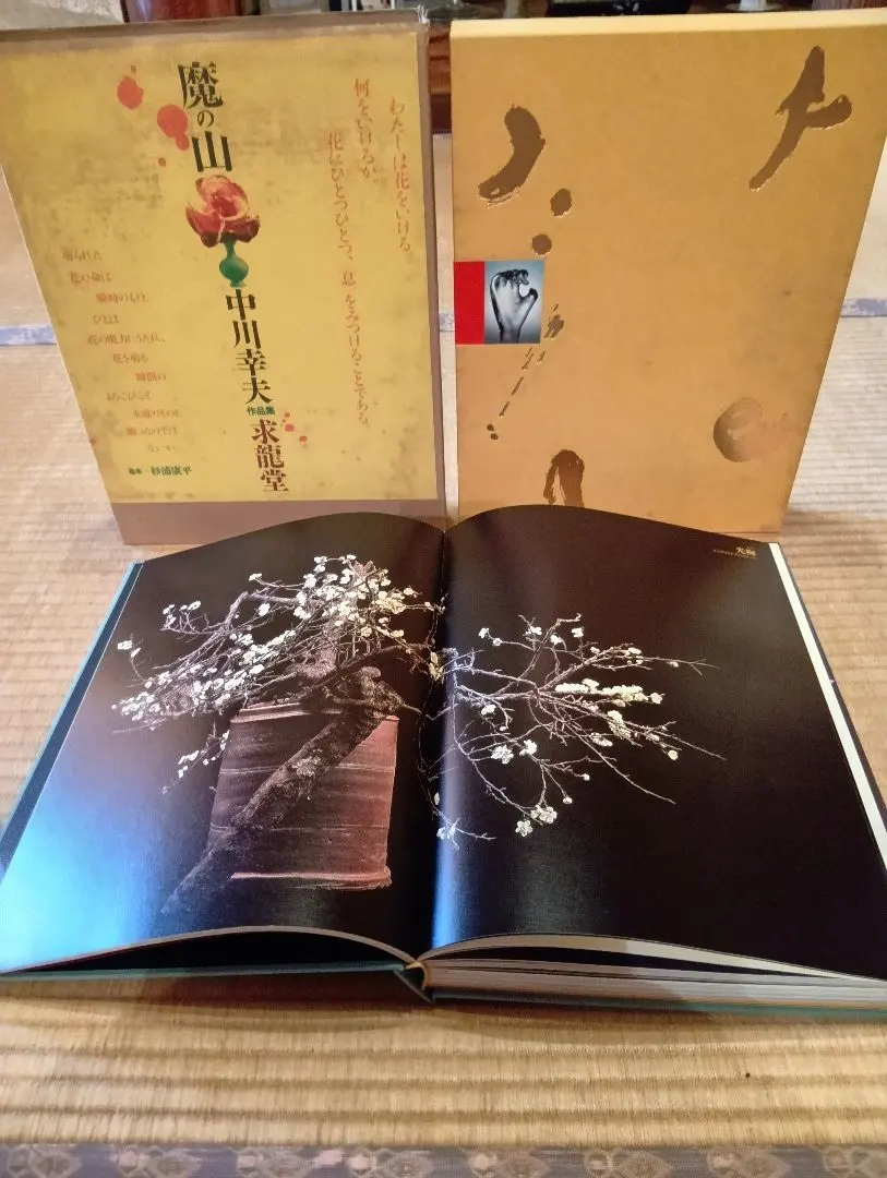 2026年最新】中川幸夫の人気アイテム - メルカリ