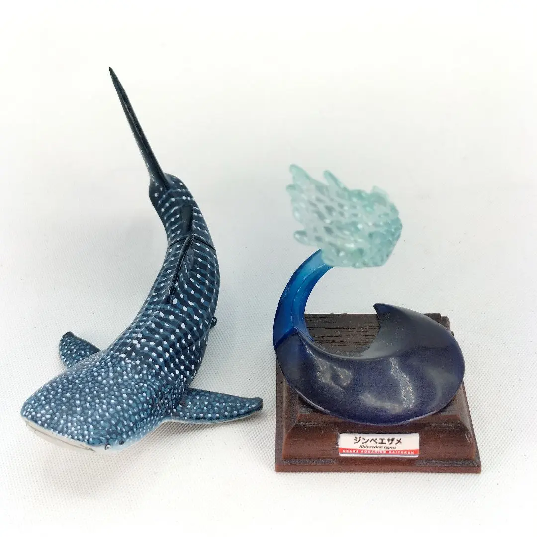 2026年最新】ネイチャーテクニカラー 海遊館の人気アイテム - メルカリ