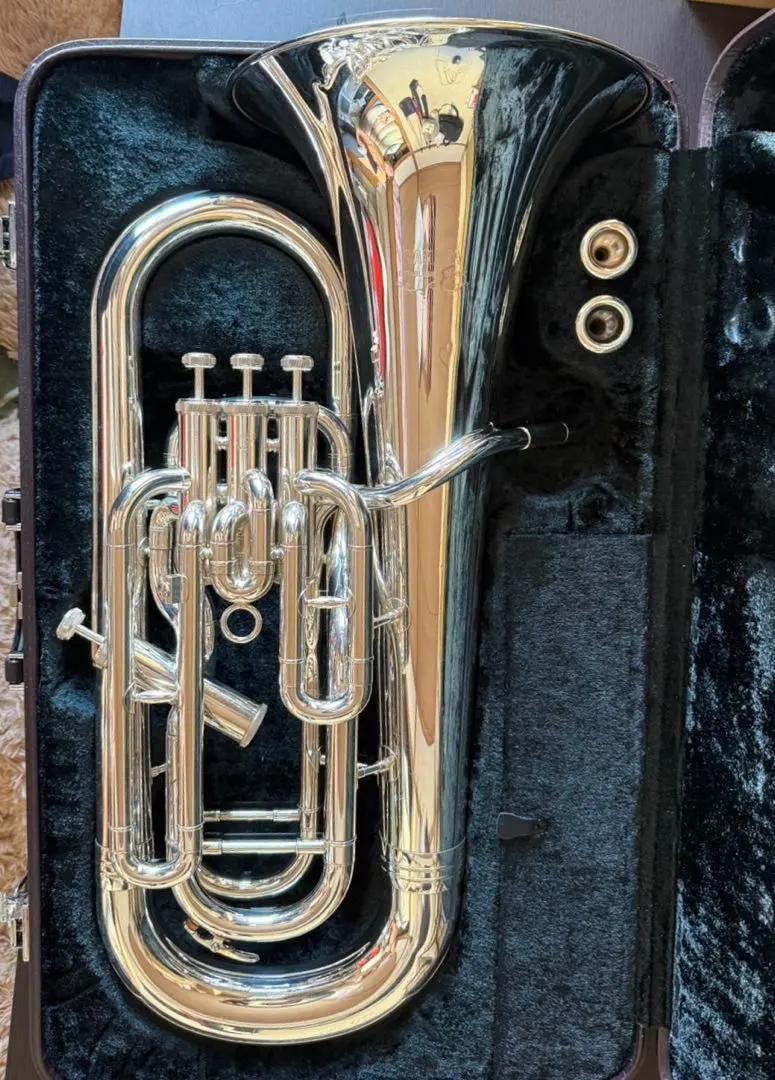 2026年最新】yep-621sの人気アイテム - メルカリ