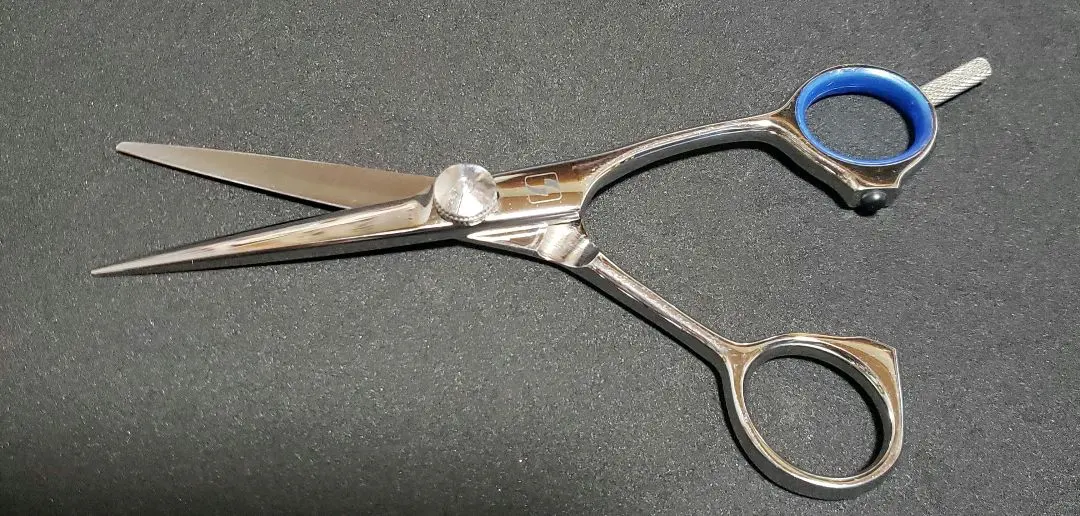 2026年最新】セニング サクシードの人気アイテム - メルカリ