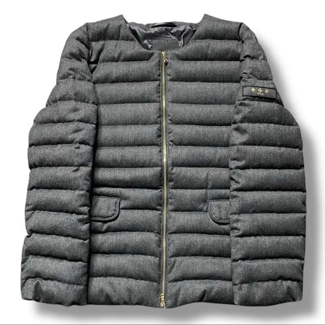 2026年最新】タトラス spinosaの人気アイテム - メルカリ