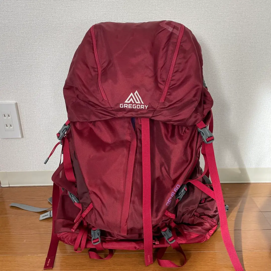 2026年最新】gregory グレゴリー ディバ60の人気アイテム - メルカリ