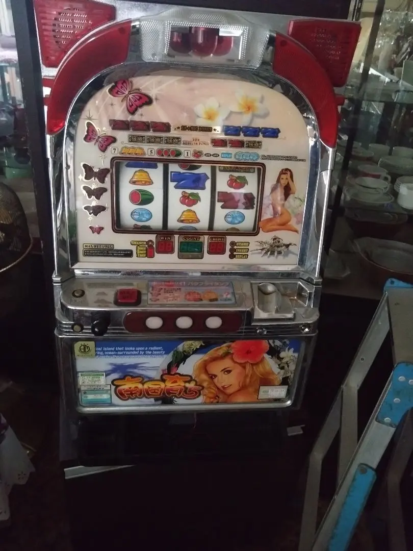 2026年最新】南国育ち 4号機の人気アイテム - メルカリ