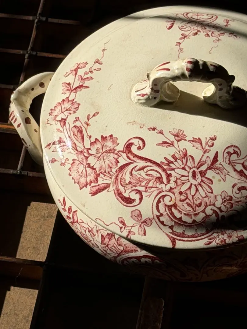 2026年最新】レギュミエの人気アイテム - メルカリ