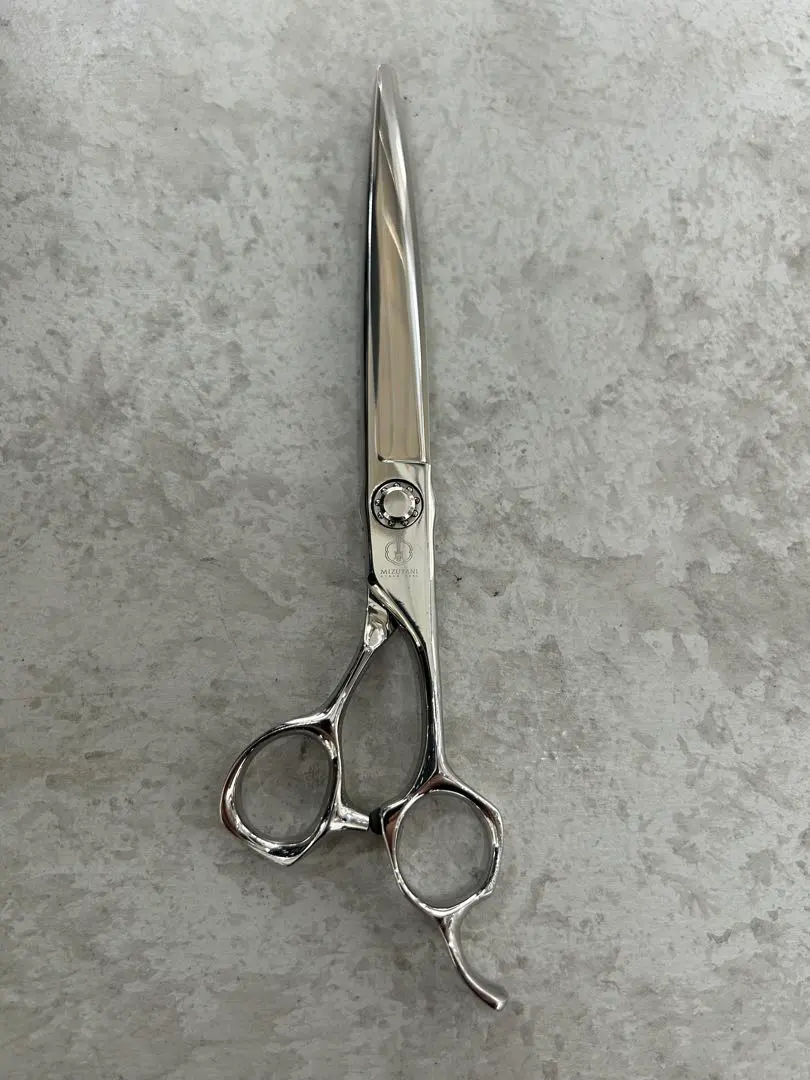 2026年最新】ミズタニ ソリッドの人気アイテム - メルカリ