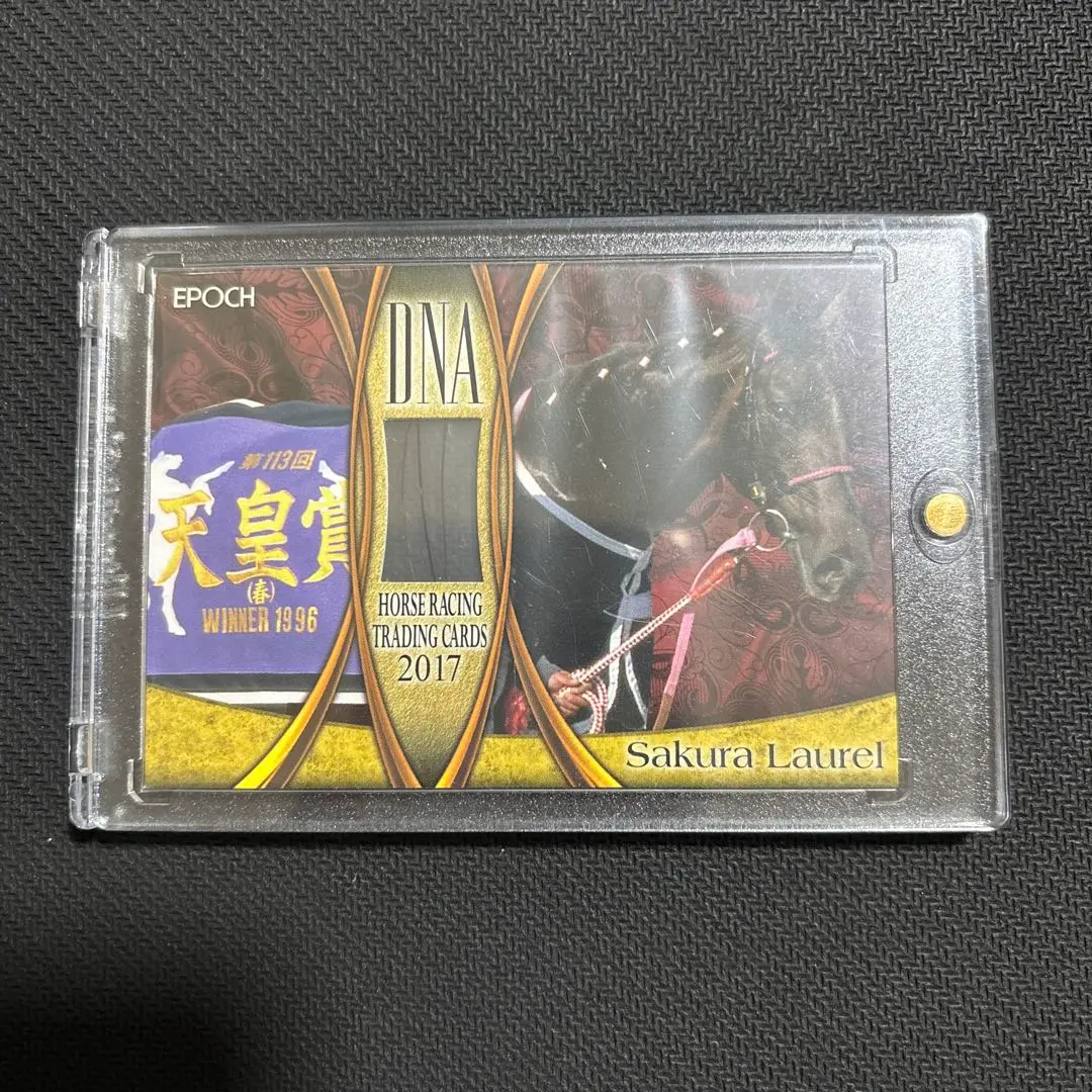 2026年最新】ホースレーシング dnaの人気アイテム - メルカリ