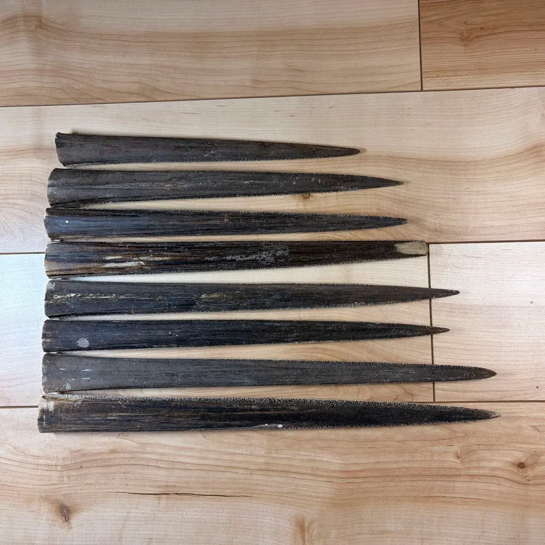 2026年最新】カジキ吻の人気アイテム - メルカリ