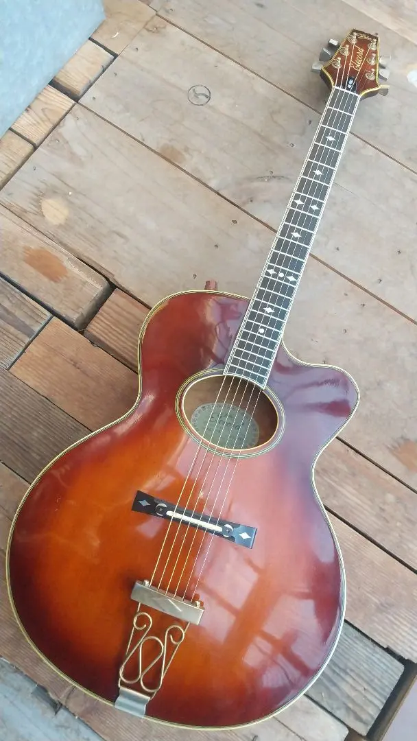 2026年最新】Aria Elecordの人気アイテム - メルカリ