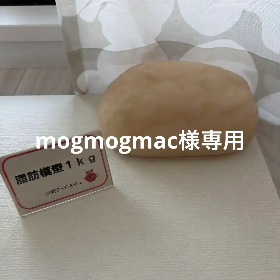 2026年最新】脂肪模型の人気アイテム - メルカリ