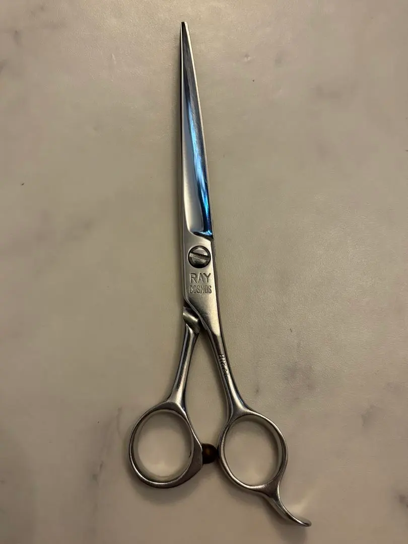 2026年最新】光 シザー レイコスモスの人気アイテム - メルカリ