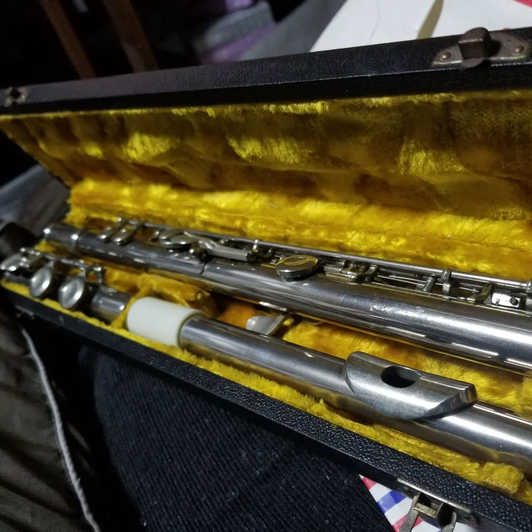 2026年最新】フルート s100の人気アイテム - メルカリ