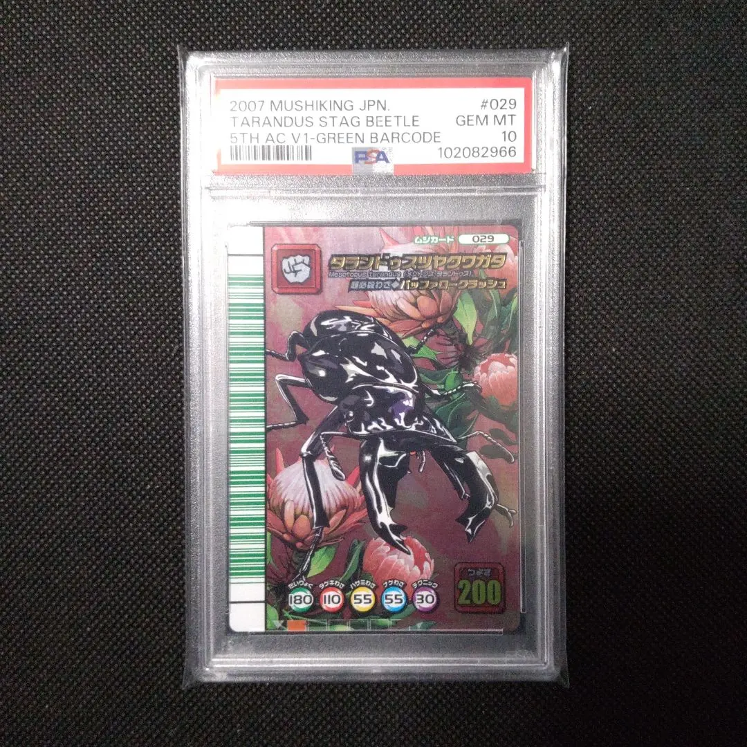 2026年最新】タランドゥスツヤクワガタ 5周年の人気アイテム - メルカリ