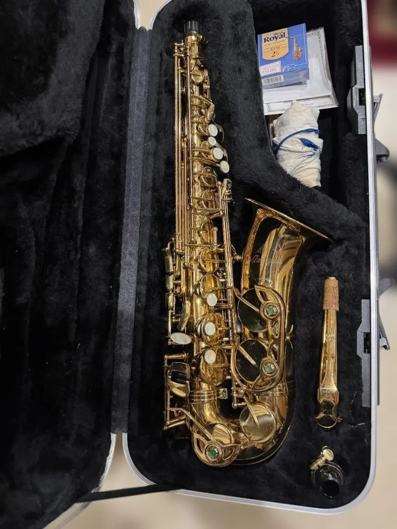 2026年最新】アンティグア アルトサックスの人気アイテム - メルカリ