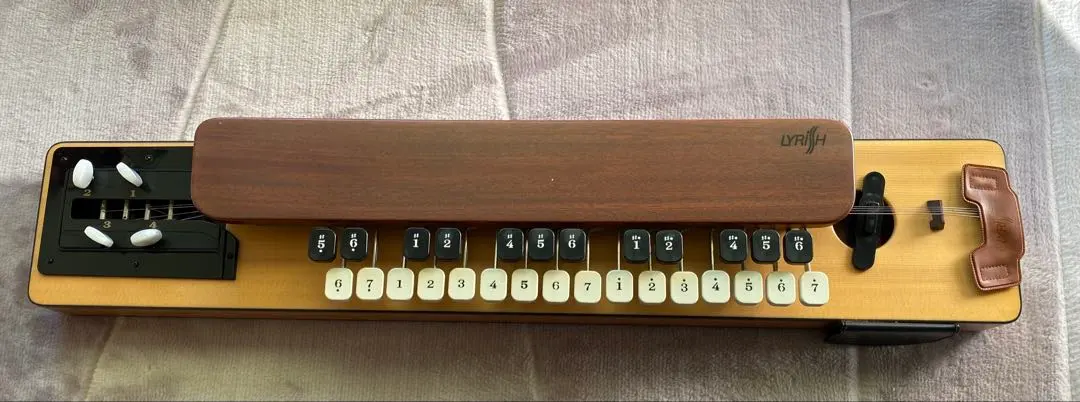 2026年最新】ライリッシュ大正琴の人気アイテム - メルカリ