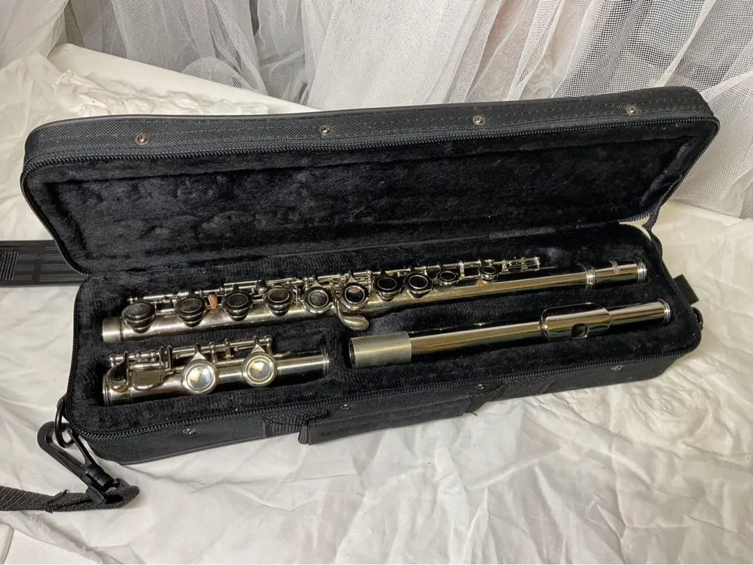 2026年最新】KAERNTNER ケルントナー フルートの人気アイテム - メルカリ