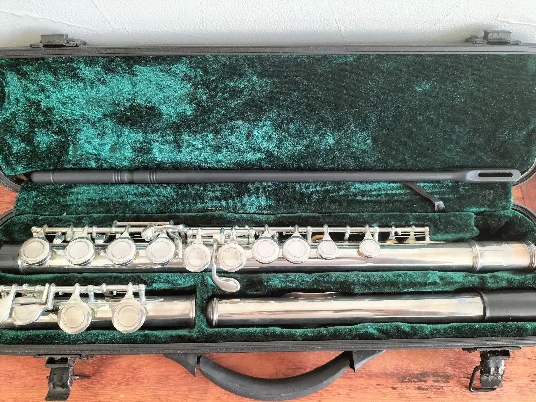 2026年最新】KAERNTNER ケルントナー フルートの人気アイテム - メルカリ