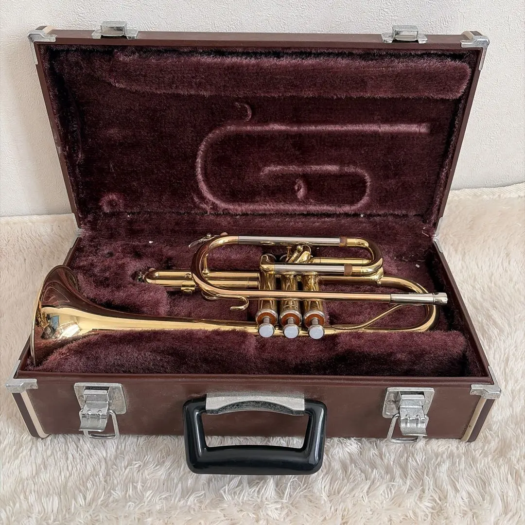 2026年最新】yamaha ycr2311の人気アイテム - メルカリ