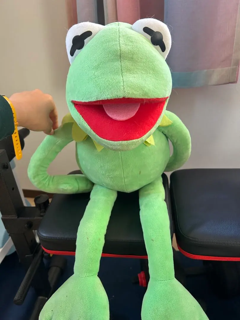 2026年最新】カーミット ぬいぐるみ 特大の人気アイテム - メルカリ