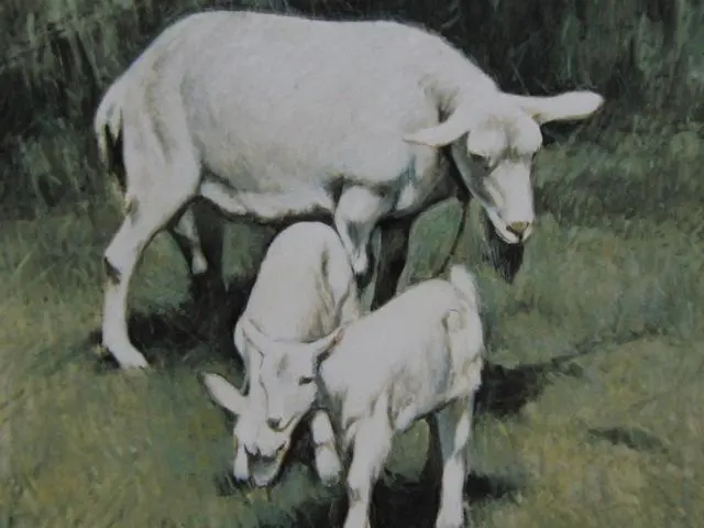 2026年最新】奈良岡正夫の人気アイテム - メルカリ