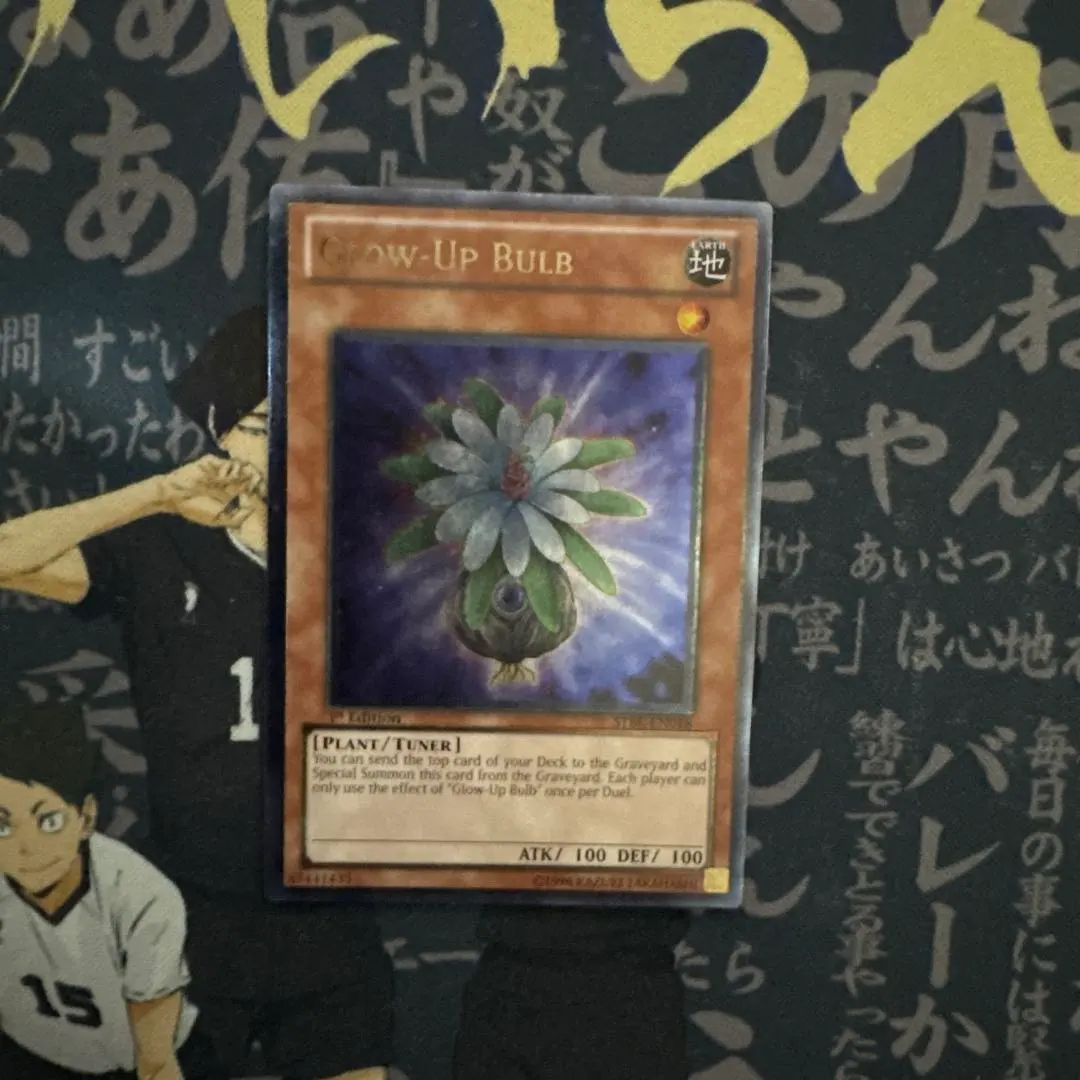 2026年最新】グローアップバルブ 英語の人気アイテム - メルカリ