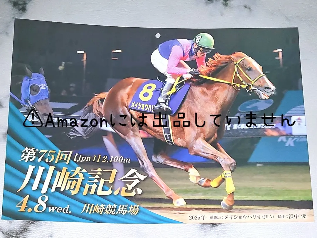 2026年最新】メイショウハリオの人気アイテム - メルカリ