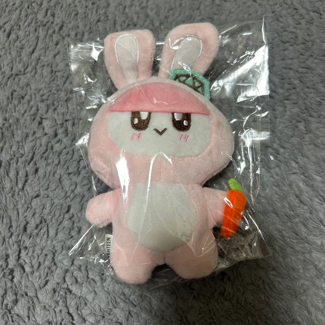 2026年最新】seventeen ボンボンイ うさぎの人気アイテム - メルカリ