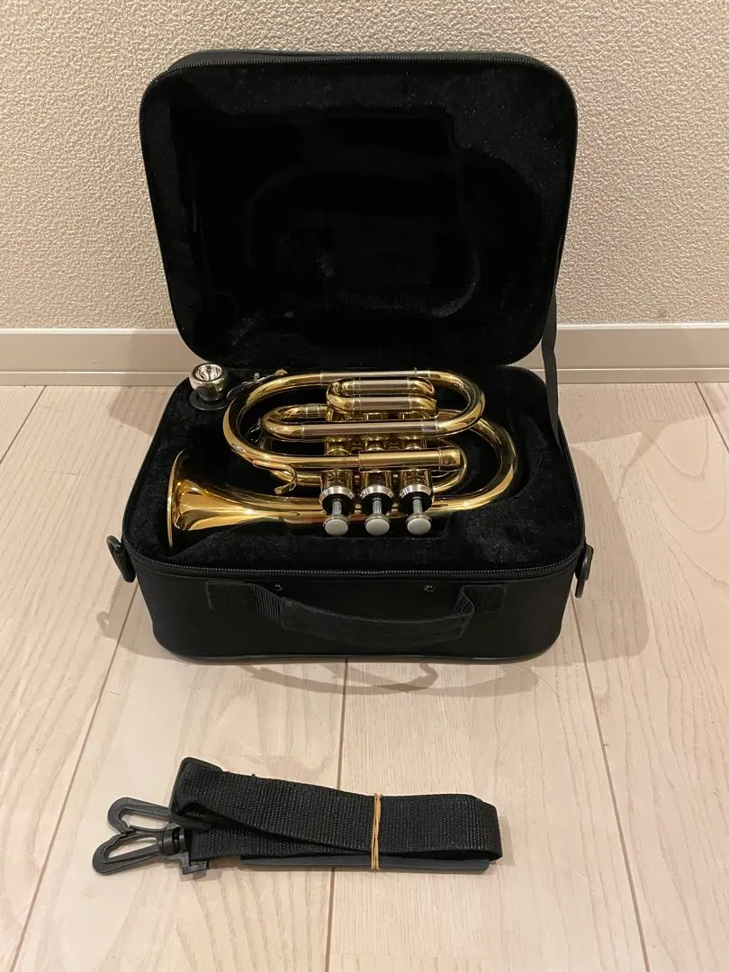 2026年最新】Mavis トランペットの人気アイテム - メルカリ