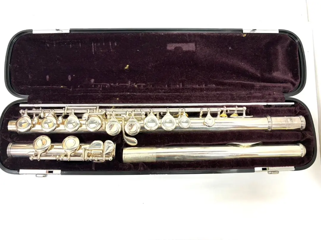 2026年最新】フルートケース ヤマハの人気アイテム - メルカリ