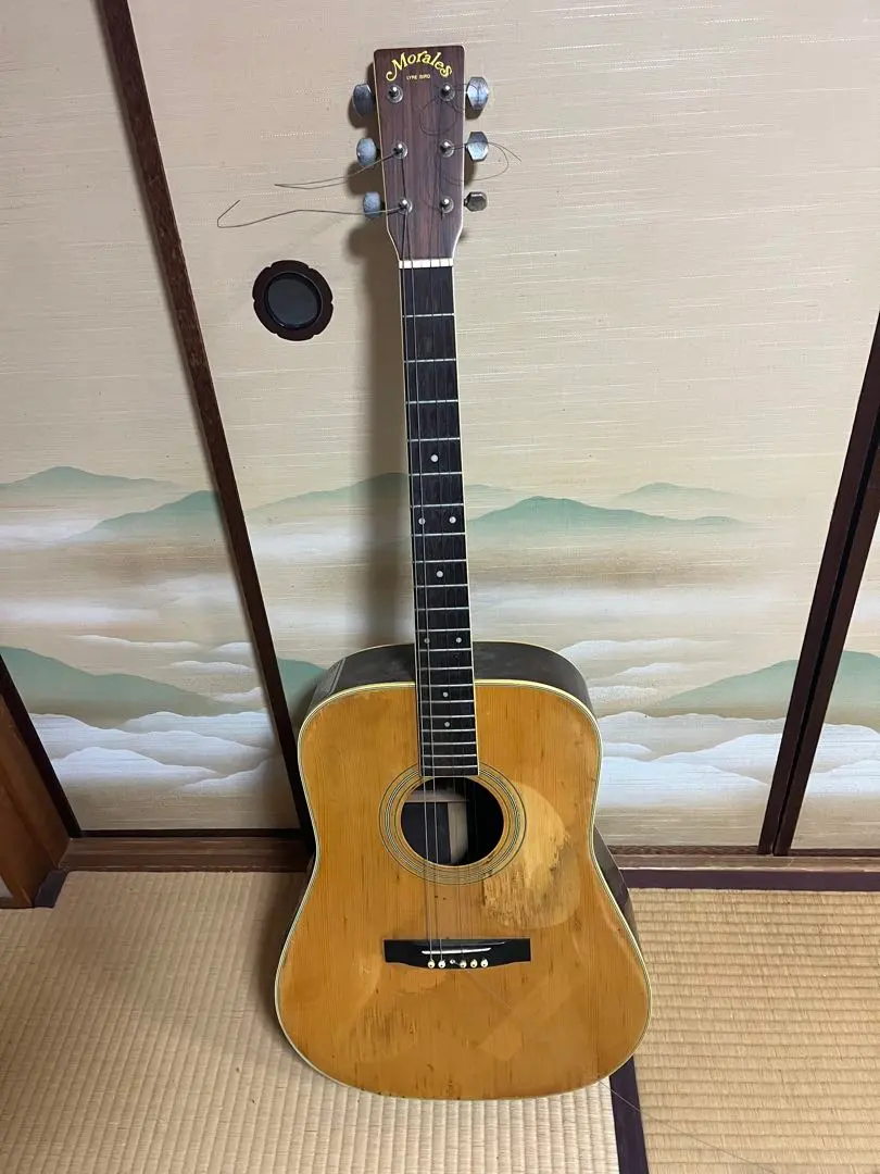 2026年最新】morales lyre birdの人気アイテム - メルカリ