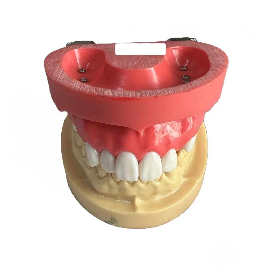 2026年最新】顎模型 ニッシンの人気アイテム - メルカリ