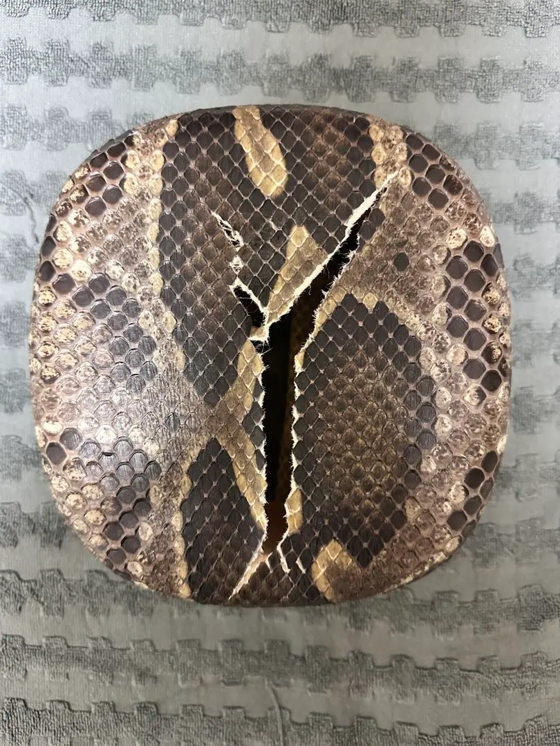 2026年最新】三線 チーガの人気アイテム - メルカリ