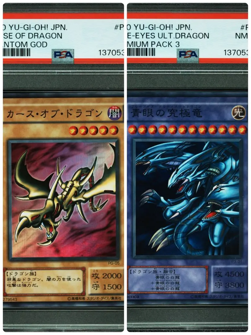 2026年最新】カースオブドラゴン psaの人気アイテム - メルカリ