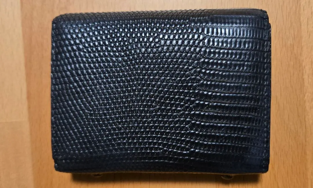 2026年最新】ganzo リザード カードの人気アイテム - メルカリ