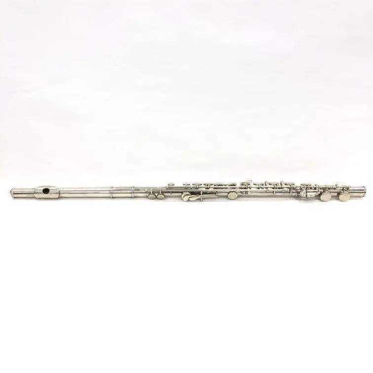 2026年最新】フルート kawaiの人気アイテム - メルカリ