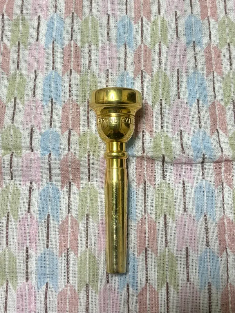 2026年最新】マウスピース giardinelliの人気アイテム - メルカリ