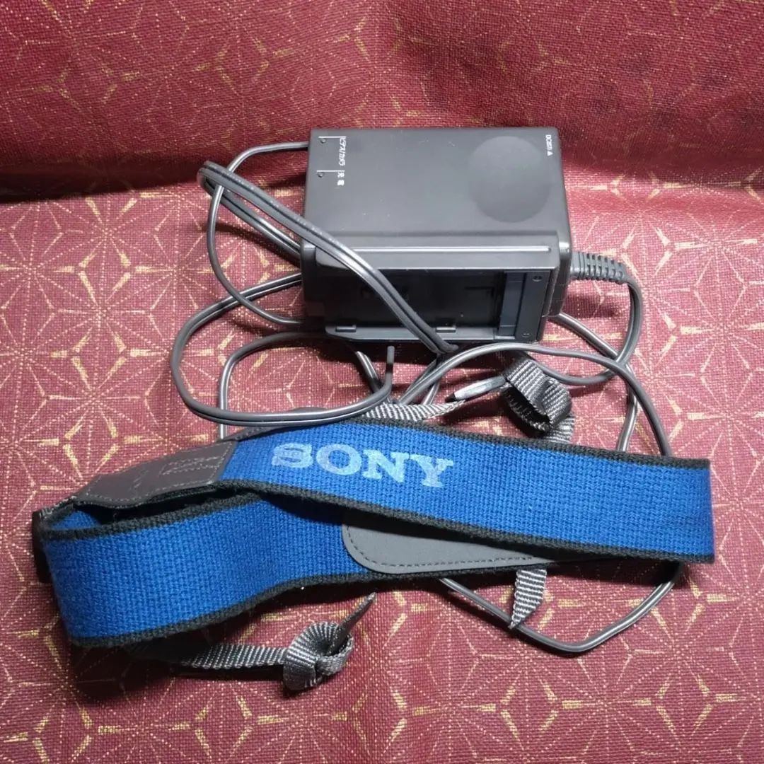 2026年最新】Sony DCR-VX1000の人気アイテム - メルカリ