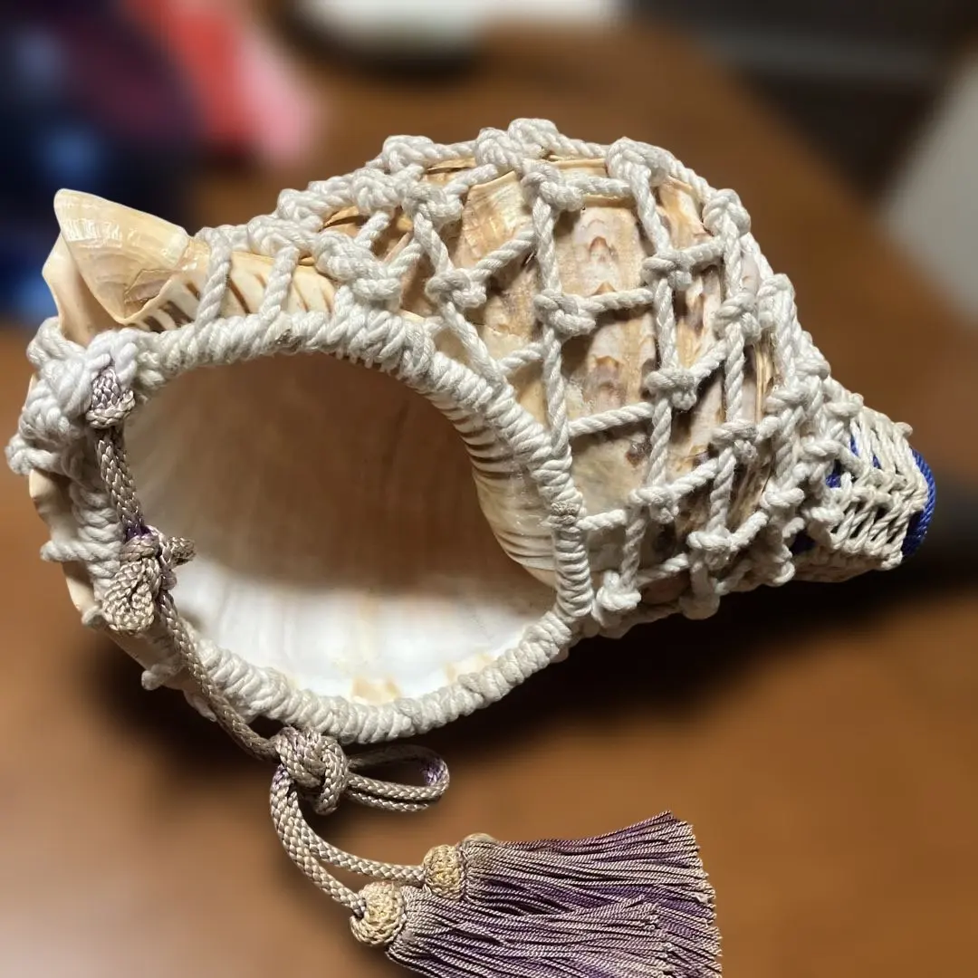 2026年最新】法螺貝 紐の人気アイテム - メルカリ