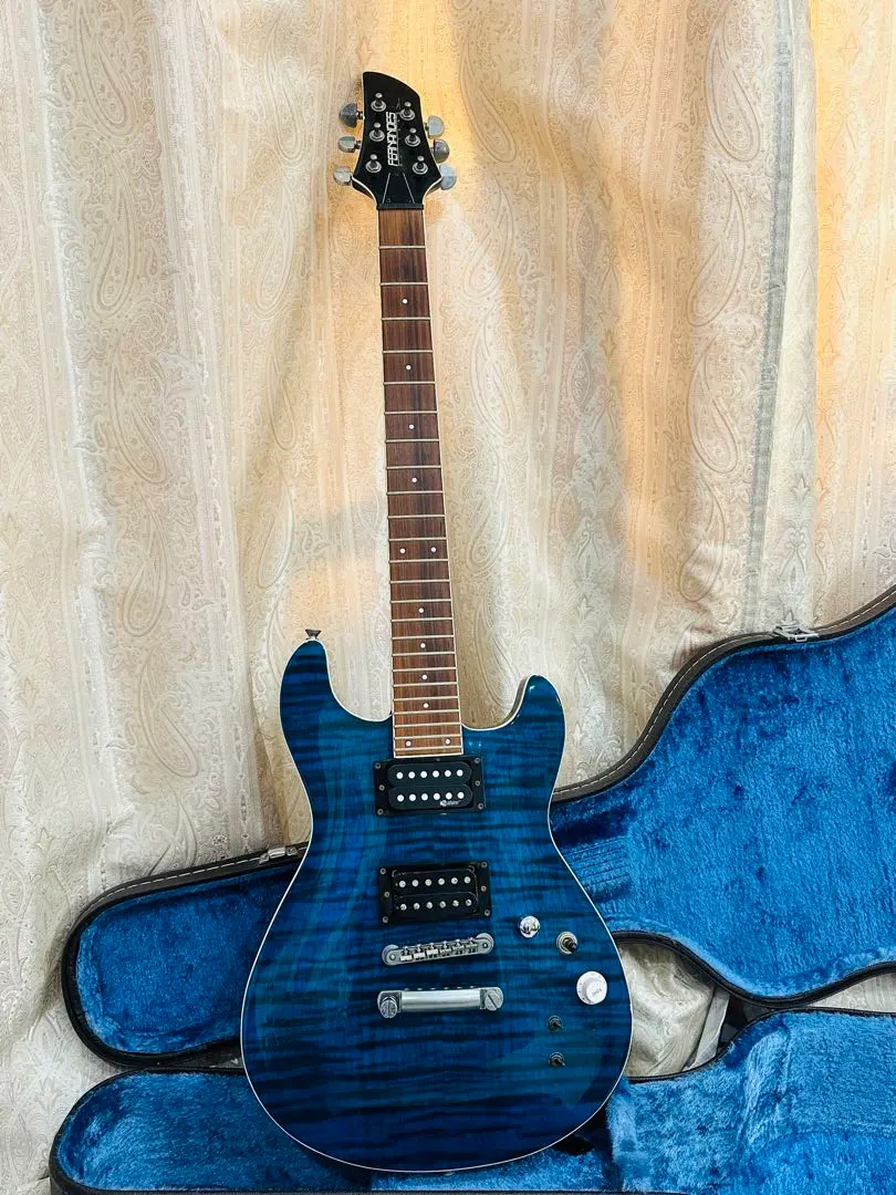 2026年最新】fernandes apgの人気アイテム - メルカリ