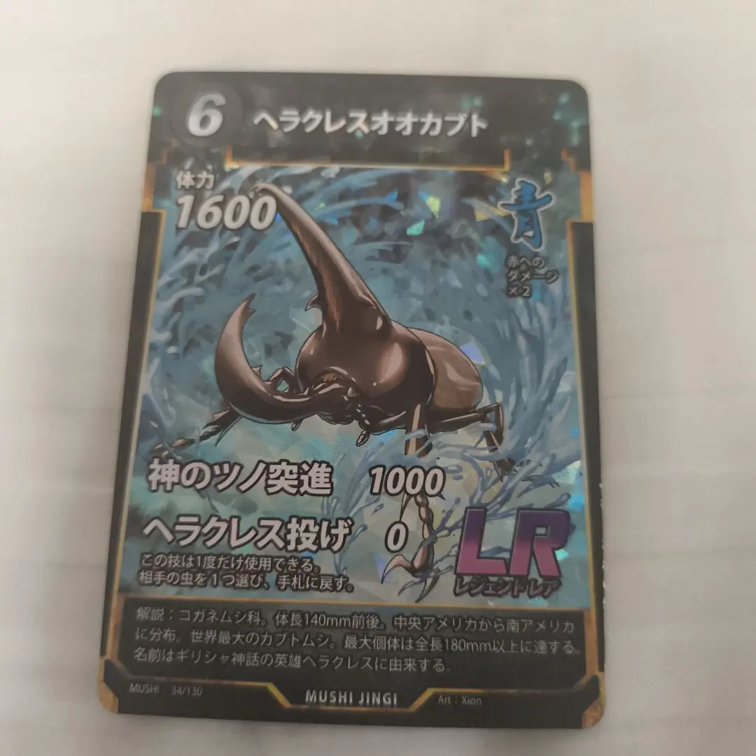 m69887168824_1.jpg?1771571788