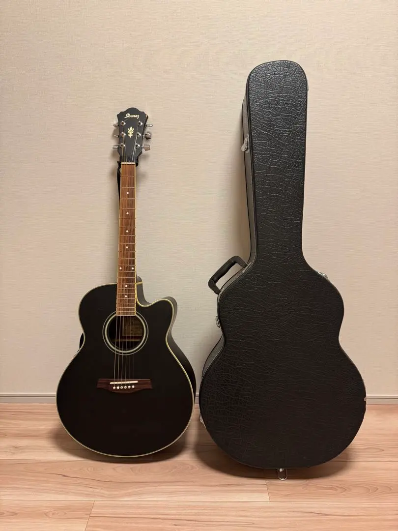 2026年最新】Ibanez AELの人気アイテム - メルカリ