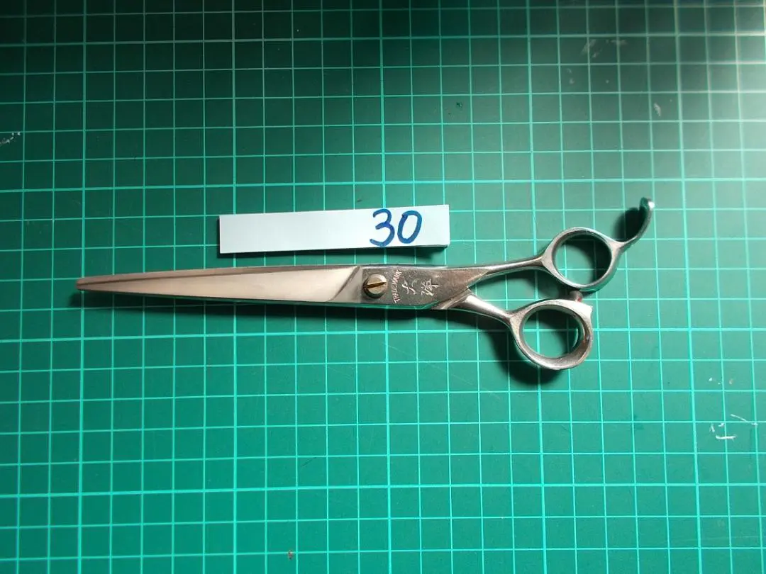 2026年最新】大洋シザーの人気アイテム - メルカリ