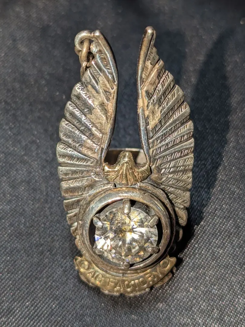 2026年最新】あるじゃん フェザー ネックレスの人気アイテム - メルカリ